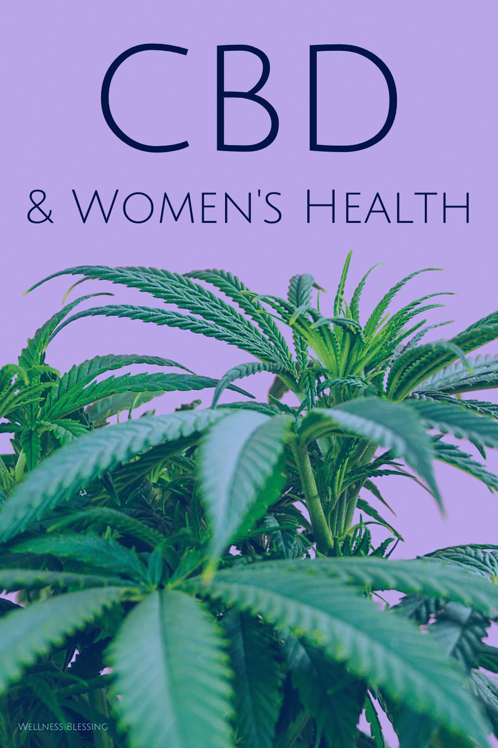 Cbd and Women’s Health at Every Level of Life